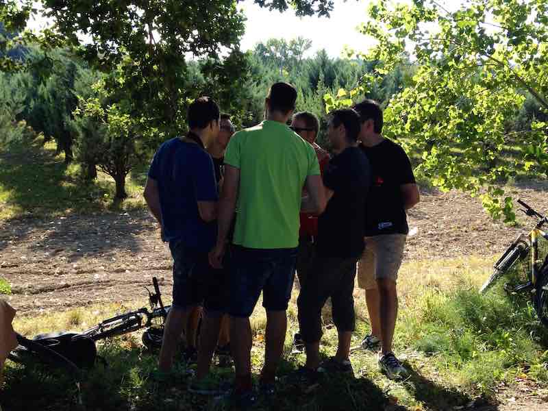 On the need of VERY FEW company policies